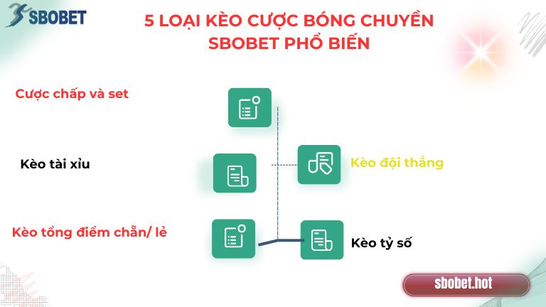 Điểm danh 5 loại kèo cược Hot tại bóng chuyền Sbobet