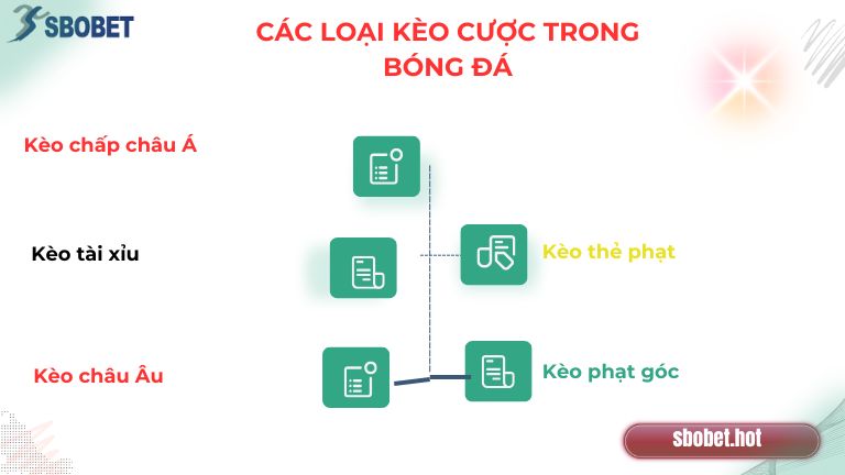 Tổng hợp các loại kèo cược bóng đá Sbobet phổ biến